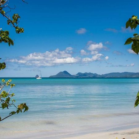 생트안느 Studio A Louer Proche Des Plages 아파트 외부 사진