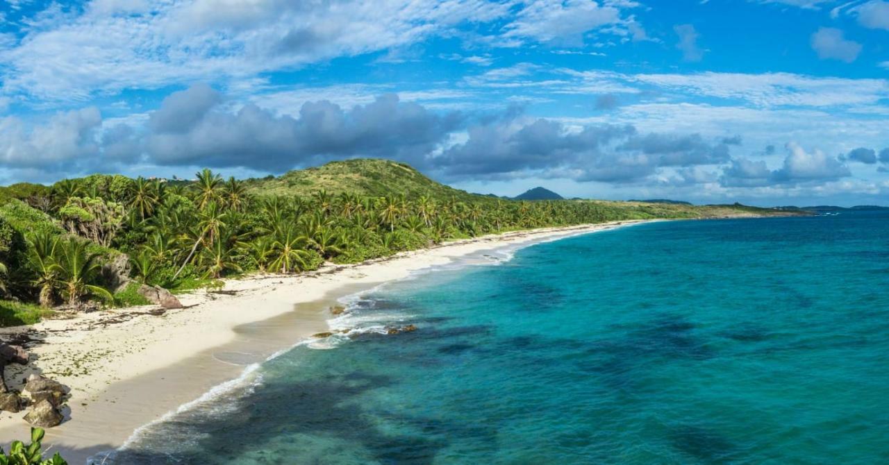 생트안느 Studio A Louer Proche Des Plages 아파트 외부 사진